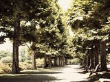 秋の訪れを感じて
