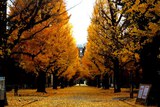 2012,11/07 　「 立冬」