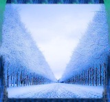 Winter Careで、更に美しく！