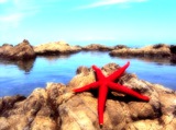 2012,07/17 Summer !