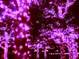 寒さを忘れてX,masイルミネーション