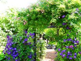 水辺のGarden Resort ＃01