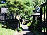信州、小布施から松川渓谷/山田温泉