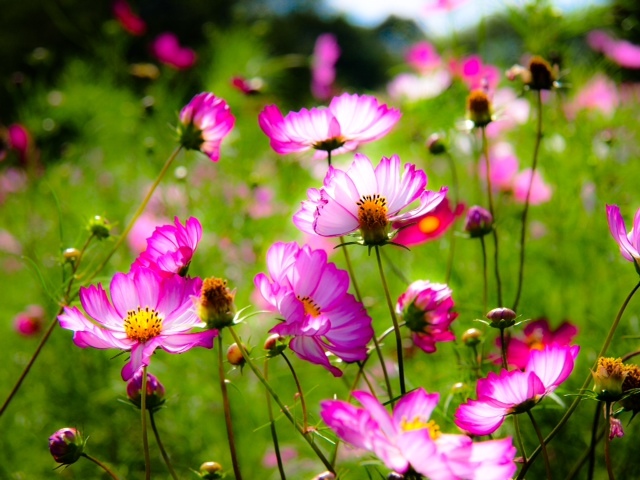 2011.092001.JPG