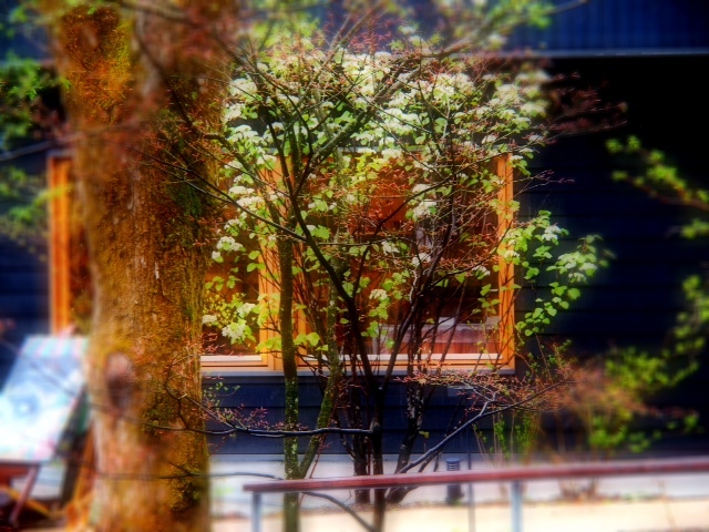 2012.04-301.JPG