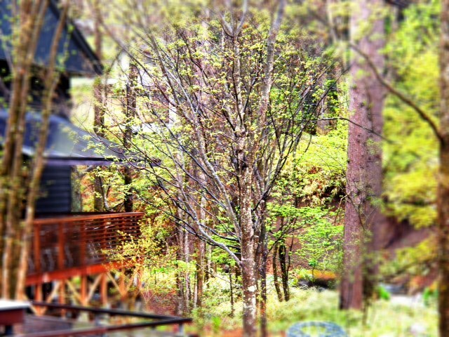2012.04-302.JPG