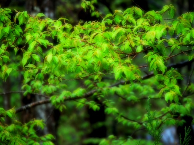 2012.04-303.JPG