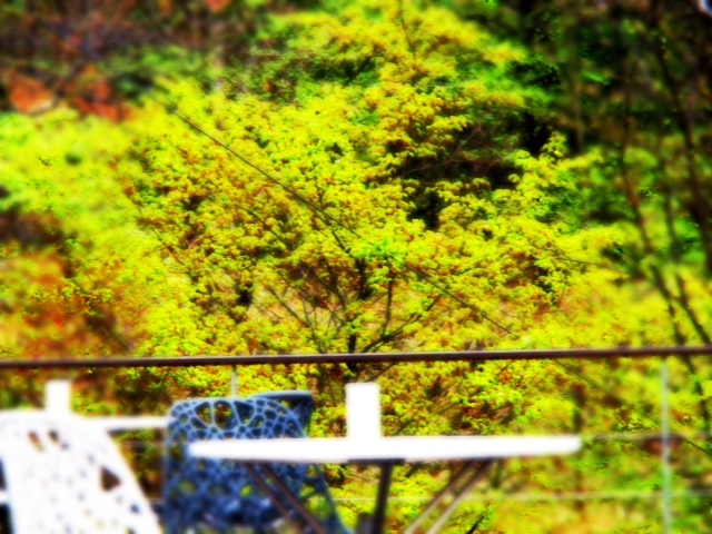 2012.04-304.JPG
