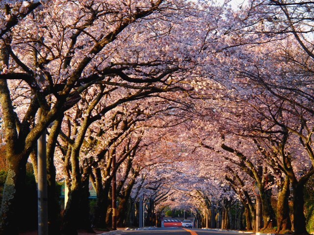 2012.0401.JPG