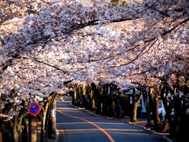 2012.0402.JPG