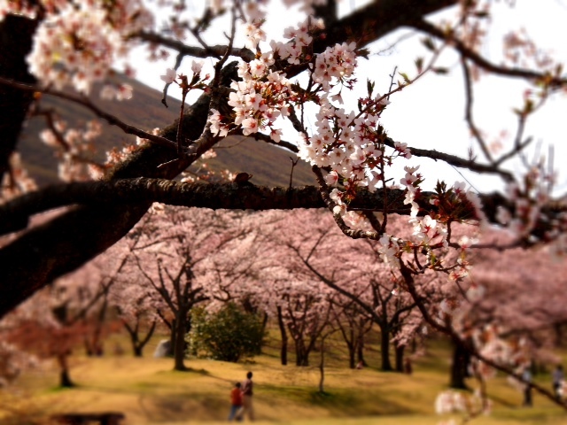 2012.0404.JPG