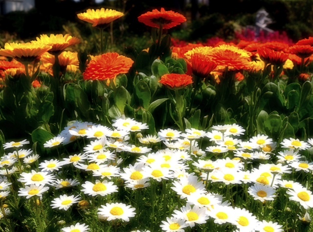 2012.0420-02.JPG