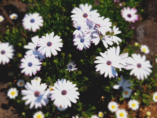 2012.0420-3.JPG