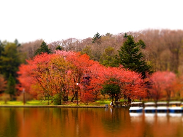 2012.05091.JPG