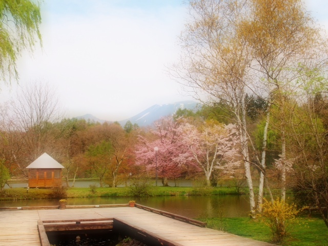 2012.05094.JPG