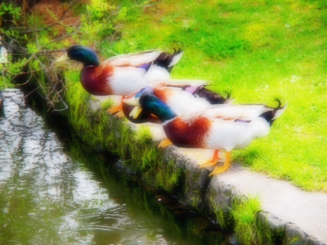2012.05104.JPG