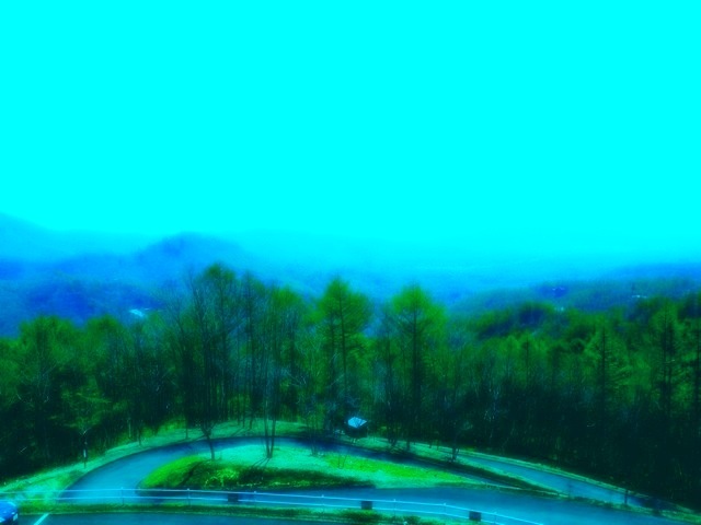 2012.5.231.JPG