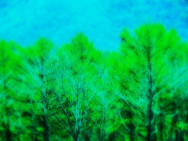 2012.5233.JPG