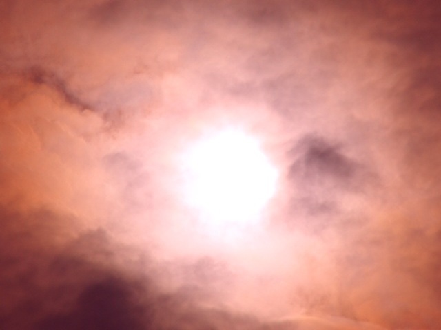 201205211.JPG