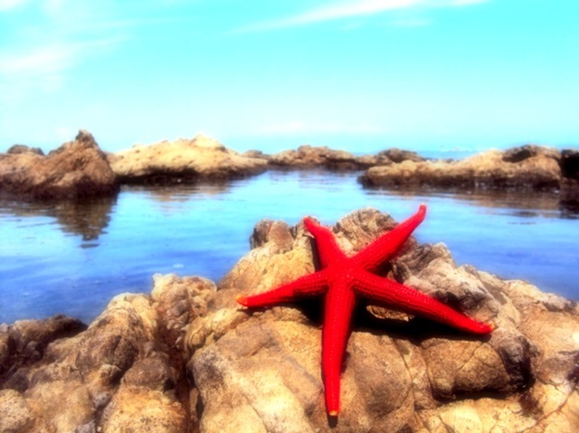 2012071801.JPG