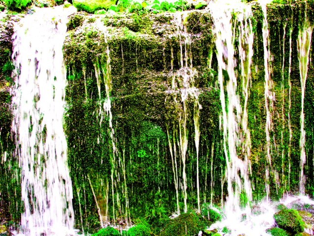 2012080504.JPG