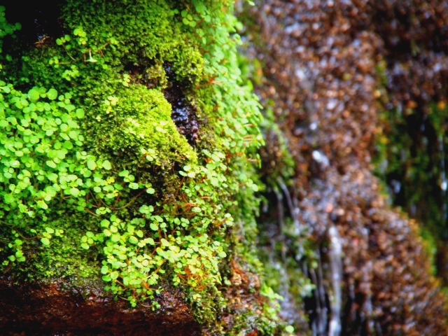 201208051.JPG