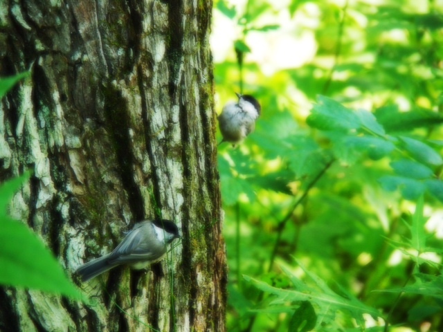 2012082004.JPG