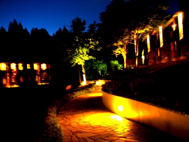 2012082103.JPG