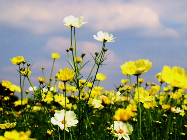 2012091001.JPG