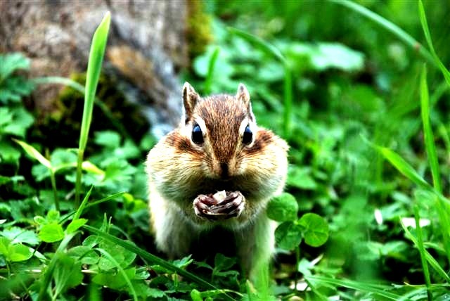 2012091002.JPG