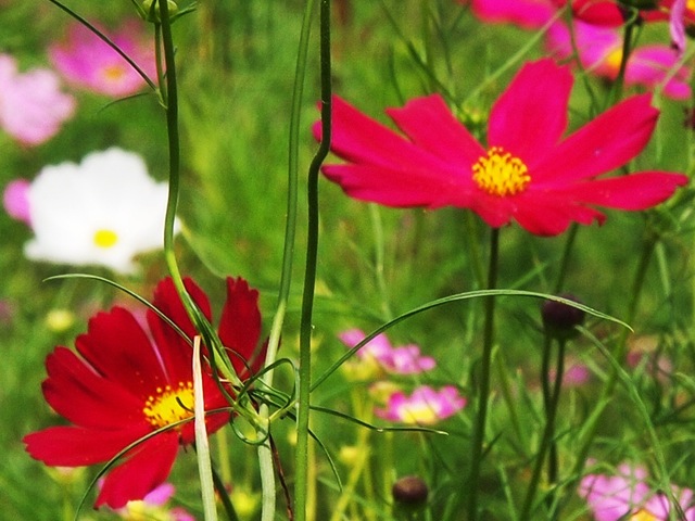 2012091003.JPG