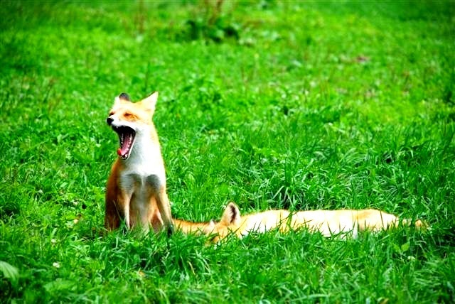 2012091004.JPG