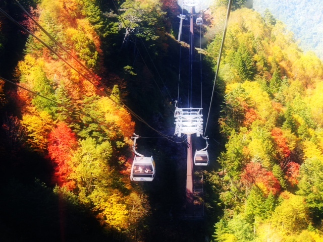 2012101304.JPG
