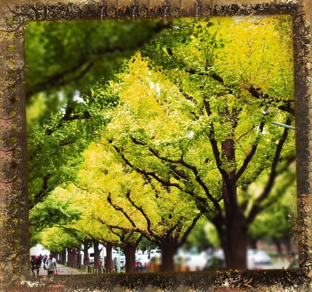 2012110801.JPG