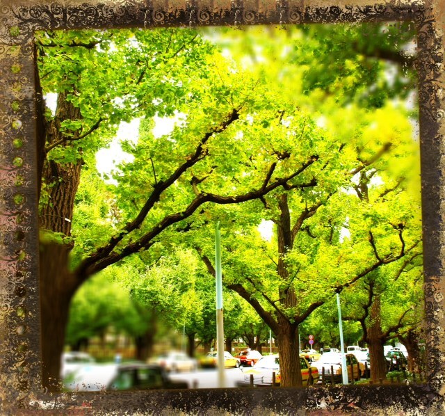 2012110802.JPG
