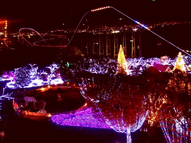 2012120603.JPG