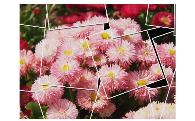 2013.04.1003.JPG