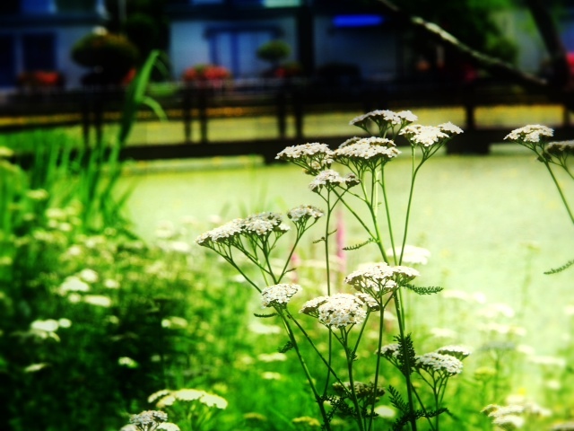 2013.082102.JPG