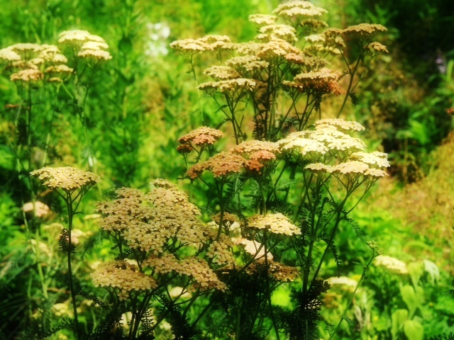 2013.082103.JPG