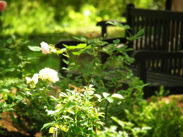 2013.082104.JPG