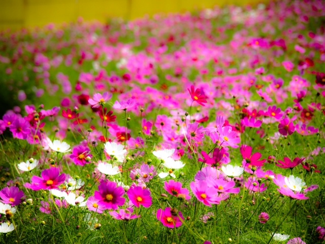 2013.092003.JPG