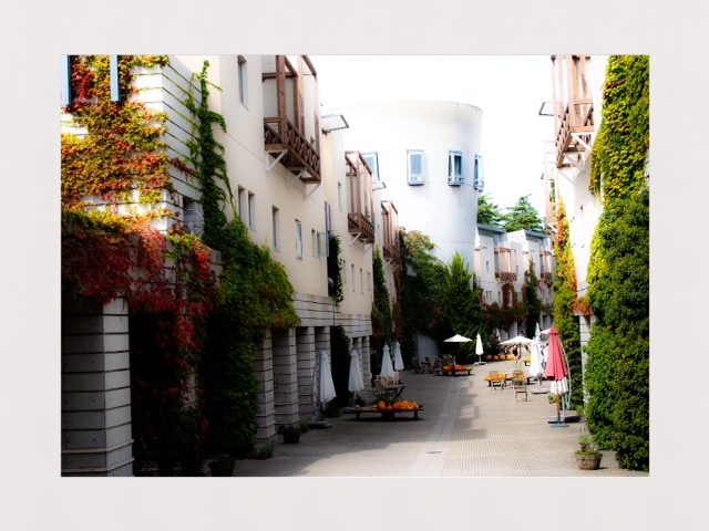 2013.101002.JPG