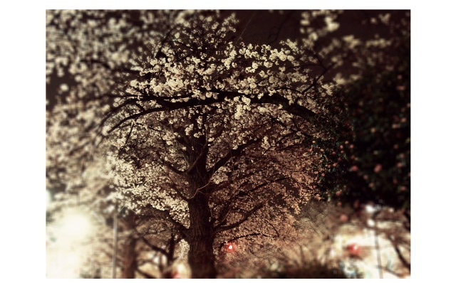 2013032302.JPG