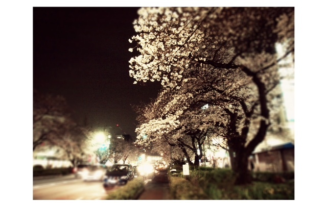 2013032303.JPG