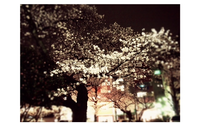 2013032304.JPG