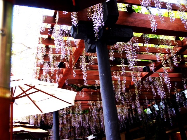 2013051001.JPG