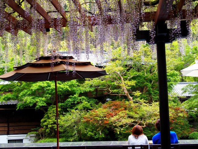 2013051003.JPG