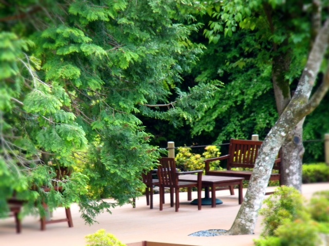 2013051004.JPG