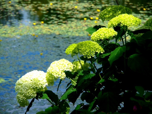 2013071101.JPG
