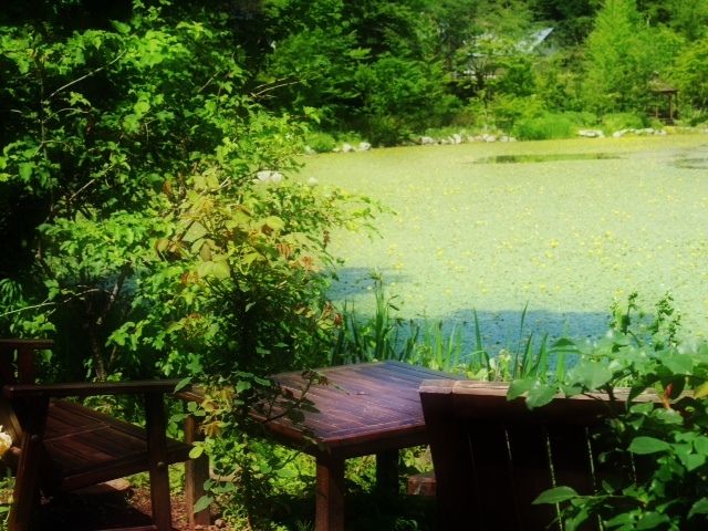 2013071102.JPG